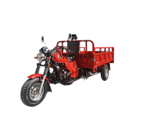 Трицикл грузовой Мотомир AGIAX 2 250 куб. см. ВОДЯН.ОХЛ. кузов 2м красный с ПТС