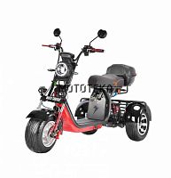 Электротрицикл White Siberia (Белая Сибирь) PRO TRIKE 3000W BLACK