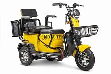 Пассажирский электротрицикл Rutrike (Рутрайк) Навигатор