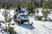 Снегоход БТС Арктик - 4Т Люкс 27 л.с.. эл. запуск. реверс. тормоз. белый (машинокомплект)